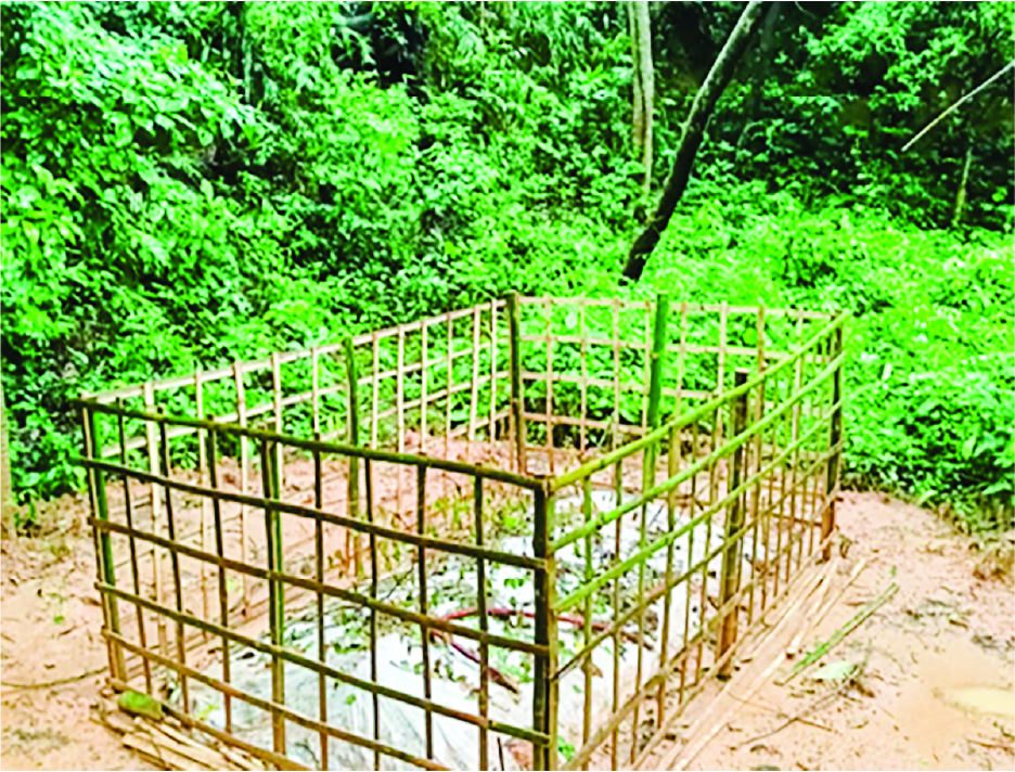 Image of সানি আহমদ